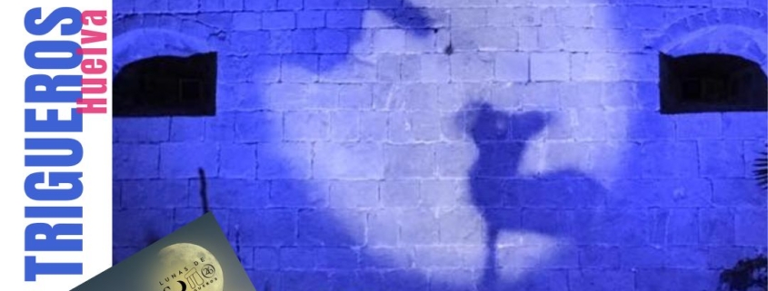 Cuentos de Pocas Luces-Teatro de Sombras-A la Sombrita en Trigueros